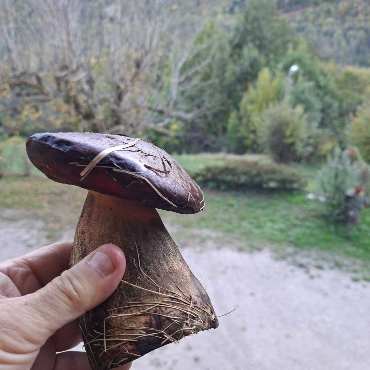 Un gars du plat pays en montagne 2