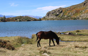 Un gars du plat pays en montagne