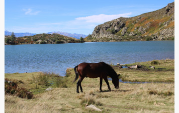 Un gars du plat pays en montagne