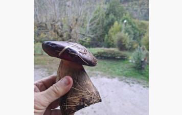 Un gars du plat pays en montagne 2