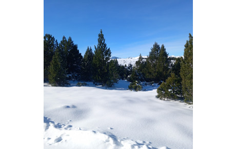 La saison de ski est lancée