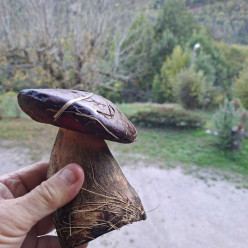 Un gars du plat pays en montagne 2